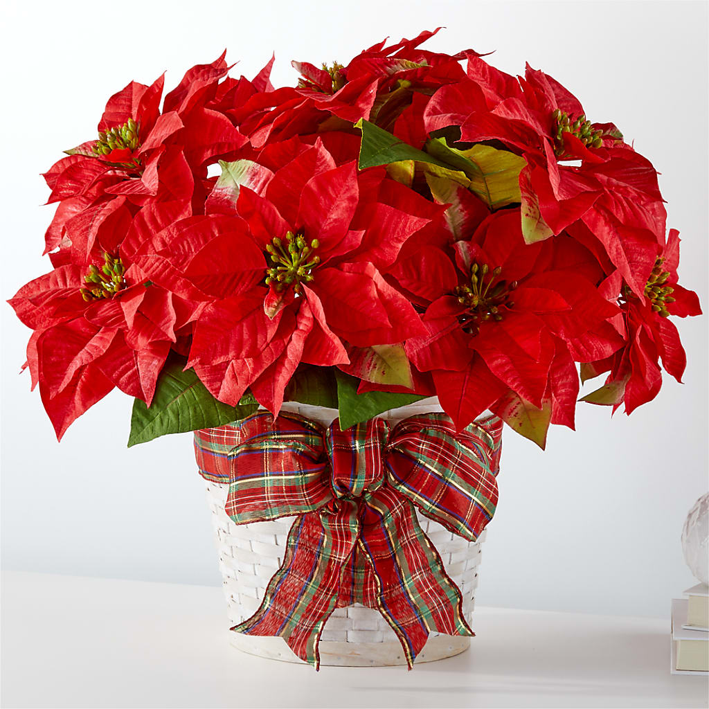 Happiest Holidays Poinsettia – Hurst Florist, Callahan FL
