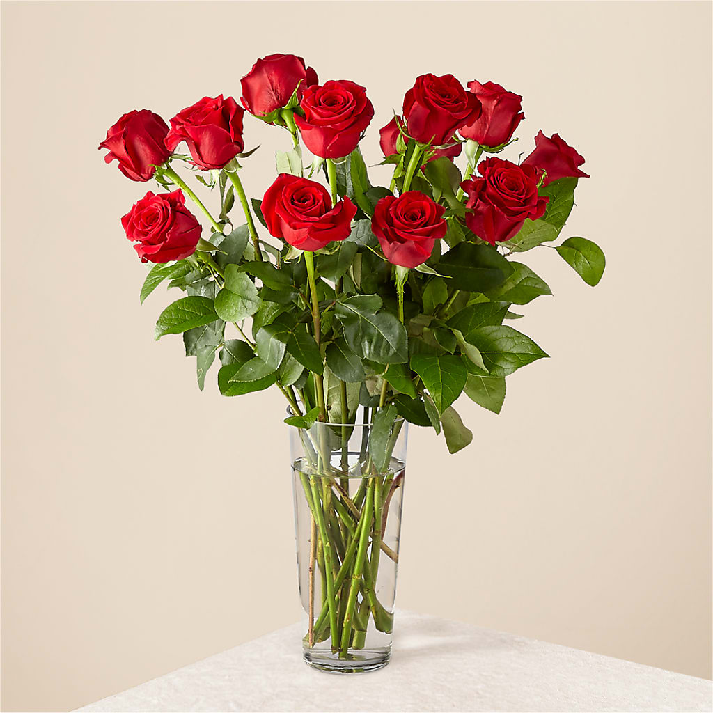 Long Stem Red Rose Bouquet – Hurst Florist, Callahan FL