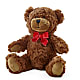 Adorable Plush Bear – Hurst Florist, Callahan FL