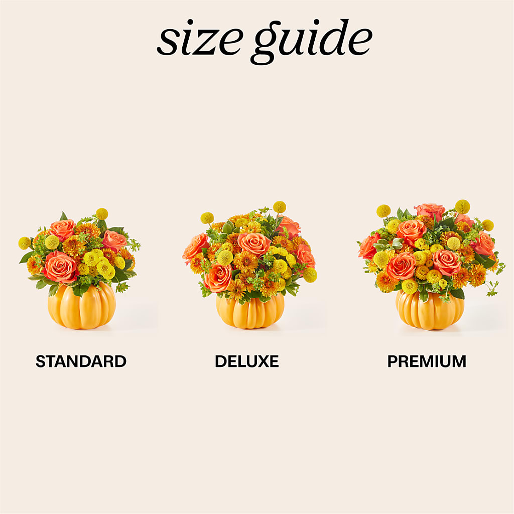 Gourdgeous Pumpkin – Hurst Florist, Callahan FL
