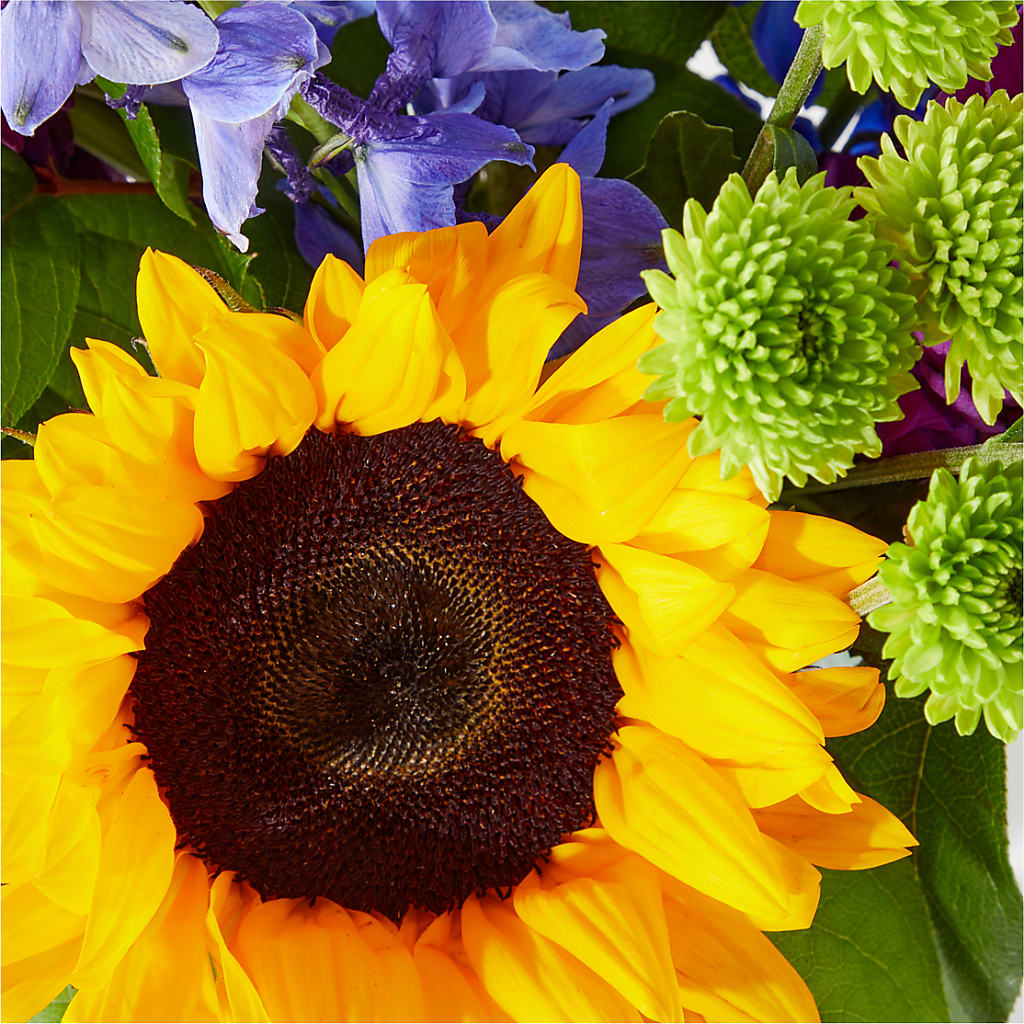 Catching Rays Bouquet – Hurst Florist, Callahan FL