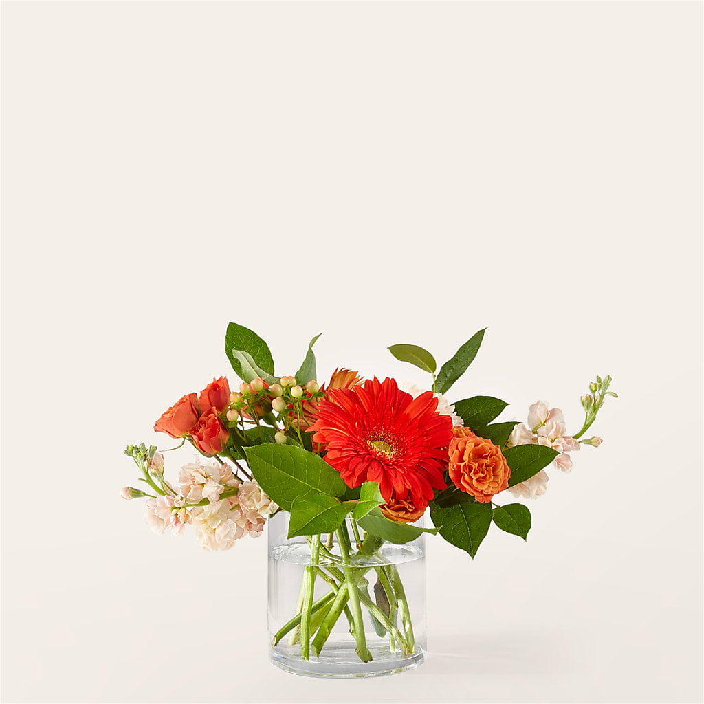 Paloma Please Bouquet – Hurst Florist, Callahan FL