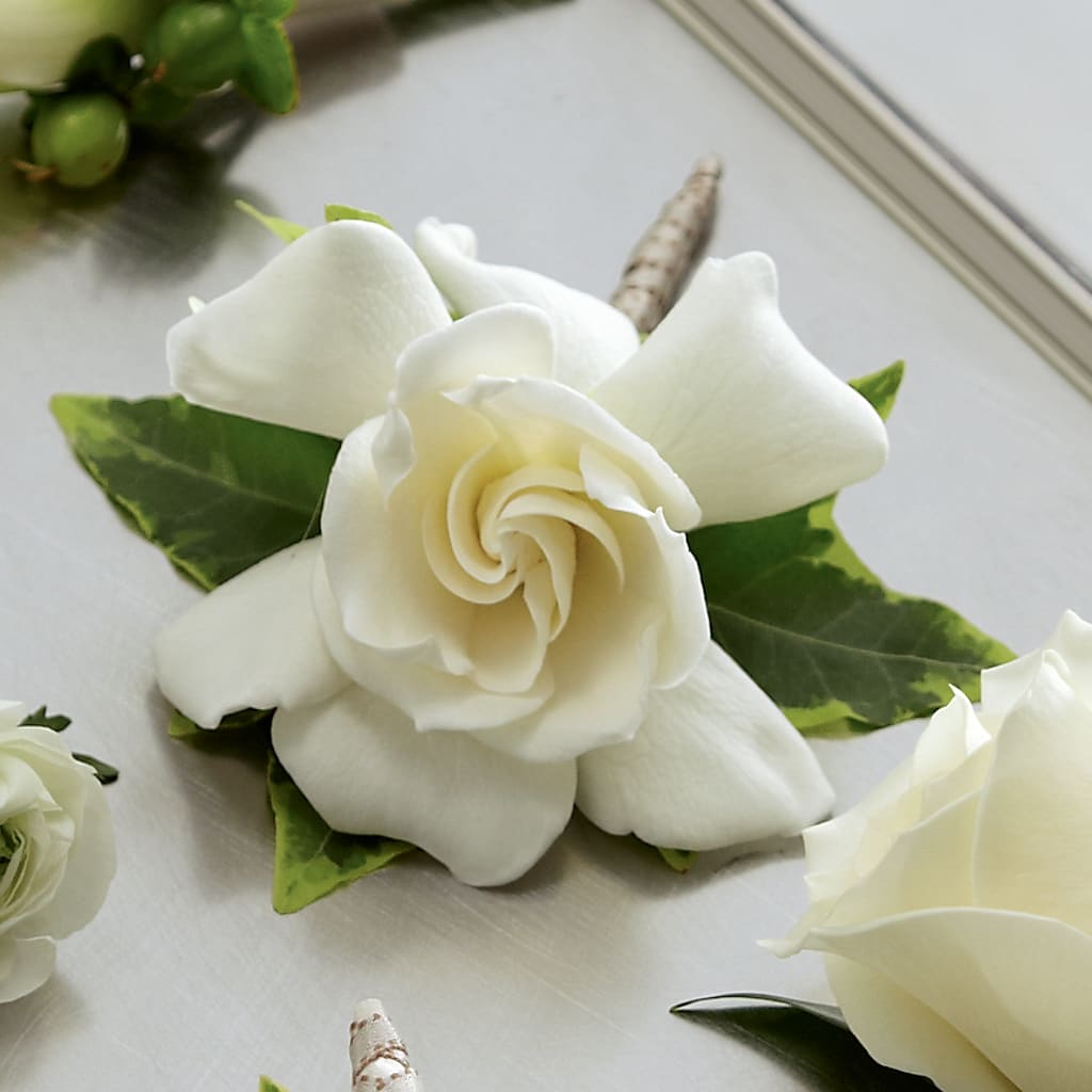 Gardenia Boutonniere – Hurst Florist, Callahan FL