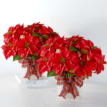 Happiest Holidays Poinsettia Bundle –  Hurst Florist, Callahan FL