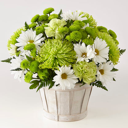 Lucky Charm Basket (Standard) –  Hurst Florist, Callahan FL
