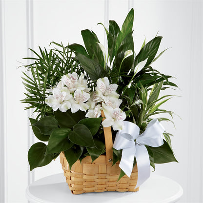 Peace & Serenity Dishgarden –  Hurst Florist, Callahan FL