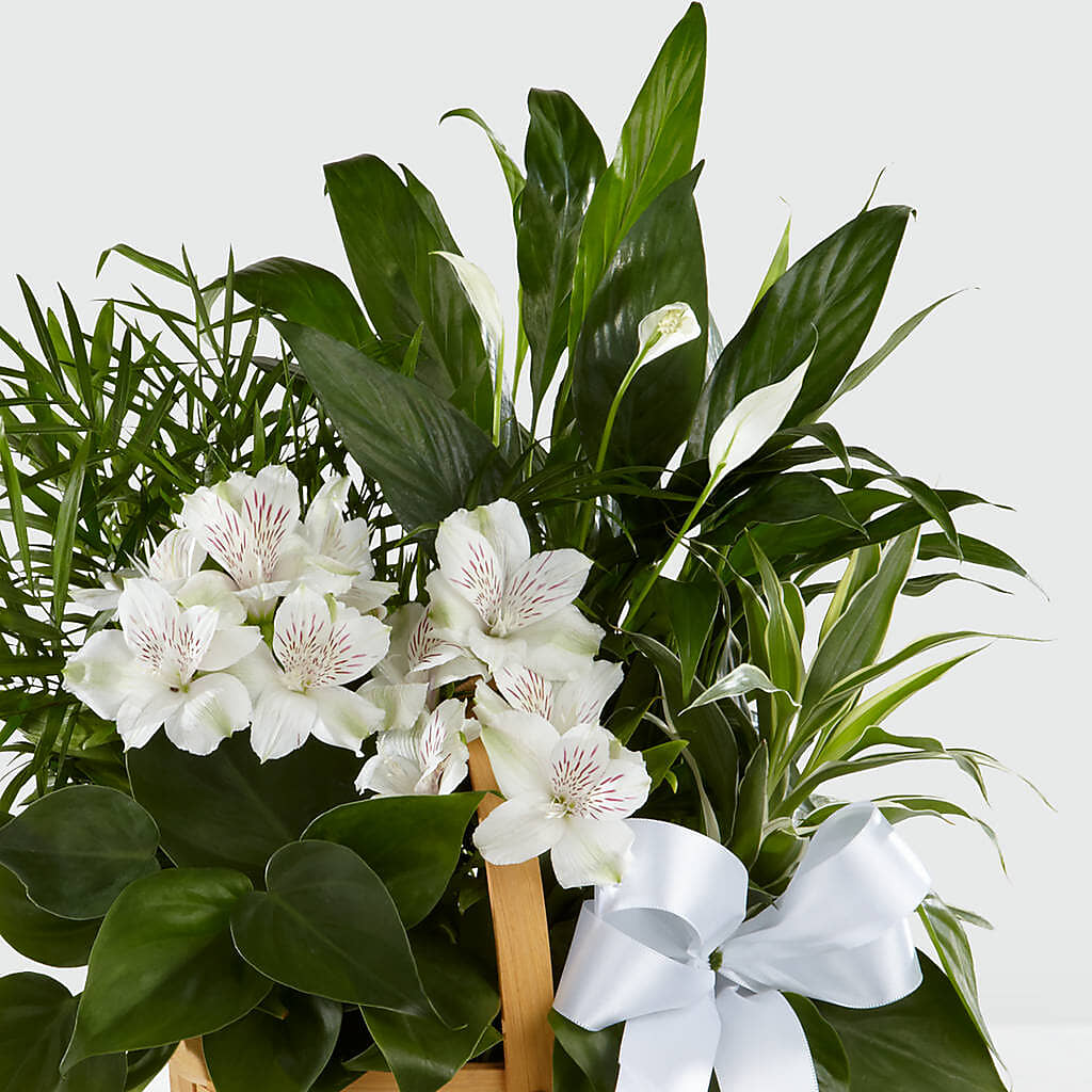 Peace & Serenity Dishgarden –  Hurst Florist, Callahan FL