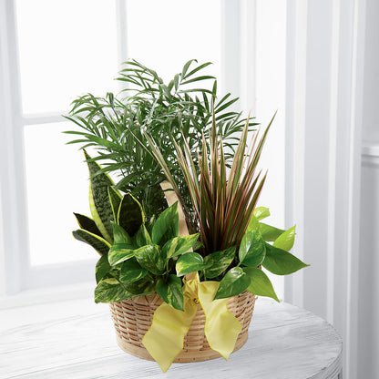 French Garden –  Hurst Florist, Callahan FL