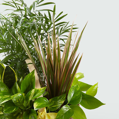 French Garden –  Hurst Florist, Callahan FL