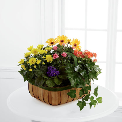 Gentle Blossoms Basket –  Hurst Florist, Callahan FL