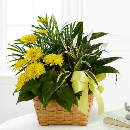 Loving Light Dishgarden –  Hurst Florist, Callahan FL