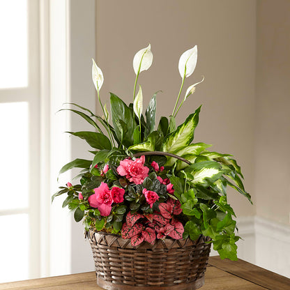 Dream in Pink Dishgarden –  Hurst Florist, Callahan FL