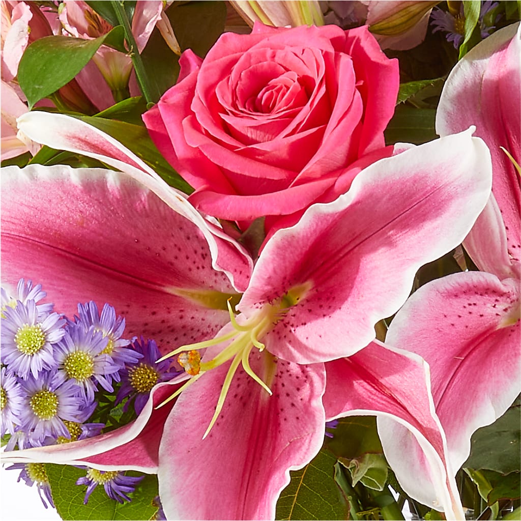 Written in the Stars Bouquet –  Hurst Florist, Callahan FL