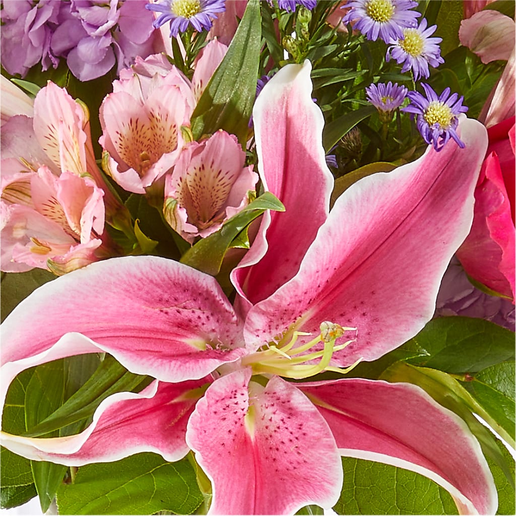 Written in the Stars Bouquet –  Hurst Florist, Callahan FL