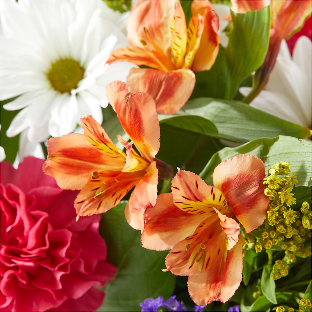 Oopsie Daisy Box Bouquet –  Hurst Florist, Callahan FL