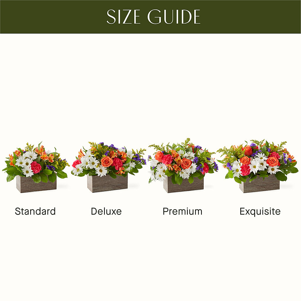 Oopsie Daisy Box Bouquet –  Hurst Florist, Callahan FL