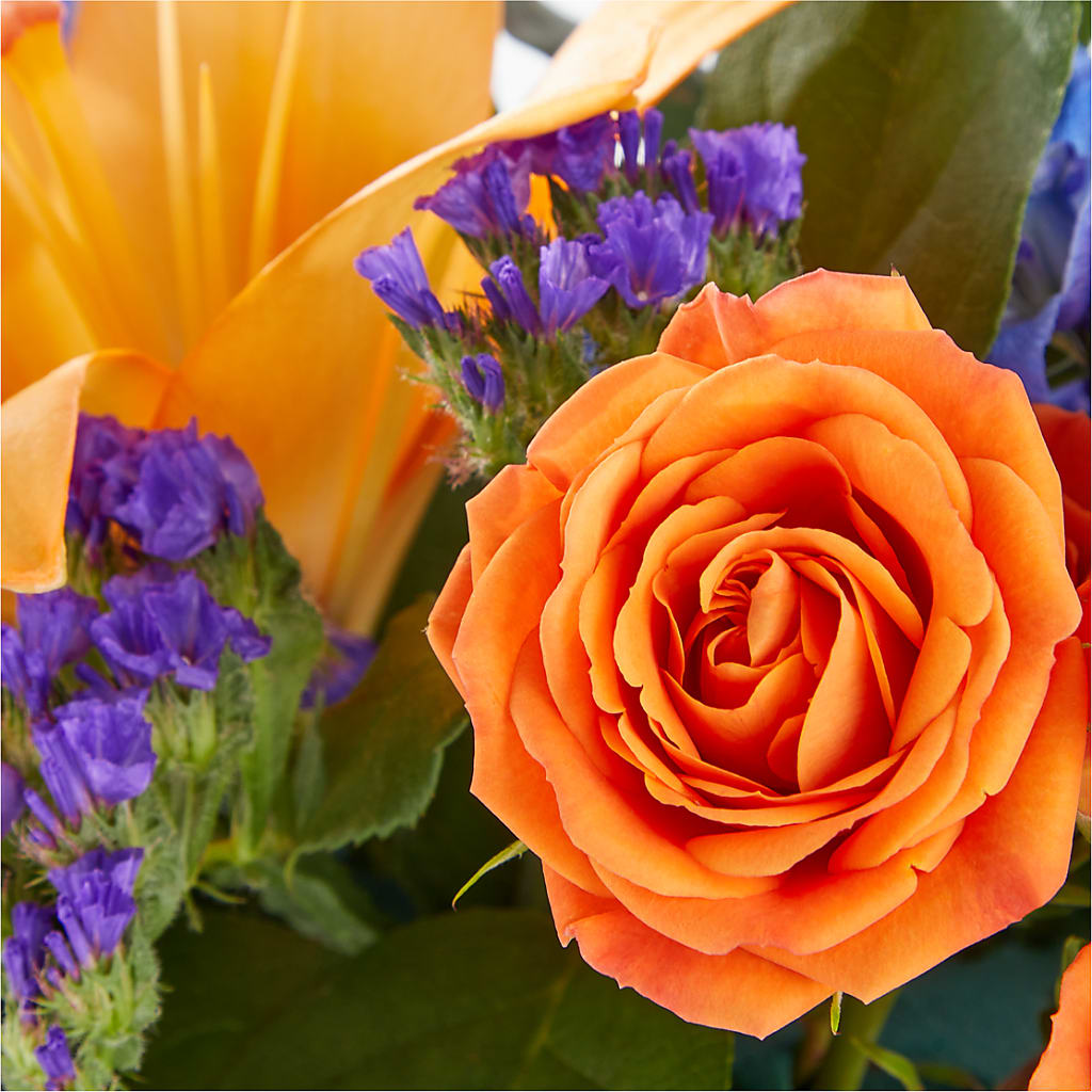 Radiant Citrus Box Bouquet –  Hurst Florist, Callahan FL