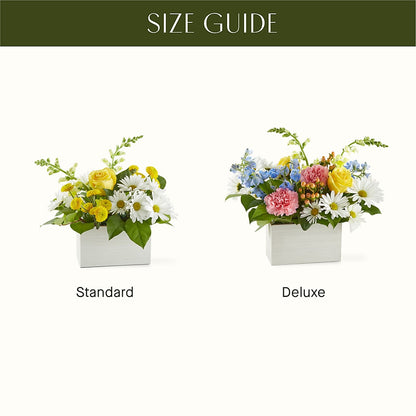 Sun Salutation Box Bouquet –  Hurst Florist, Callahan FL