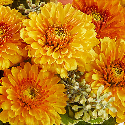 Peachy Pumpkin –  Hurst Florist, Callahan FL