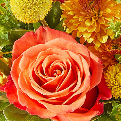 Gourdgeous Pumpkin –  Hurst Florist, Callahan FL