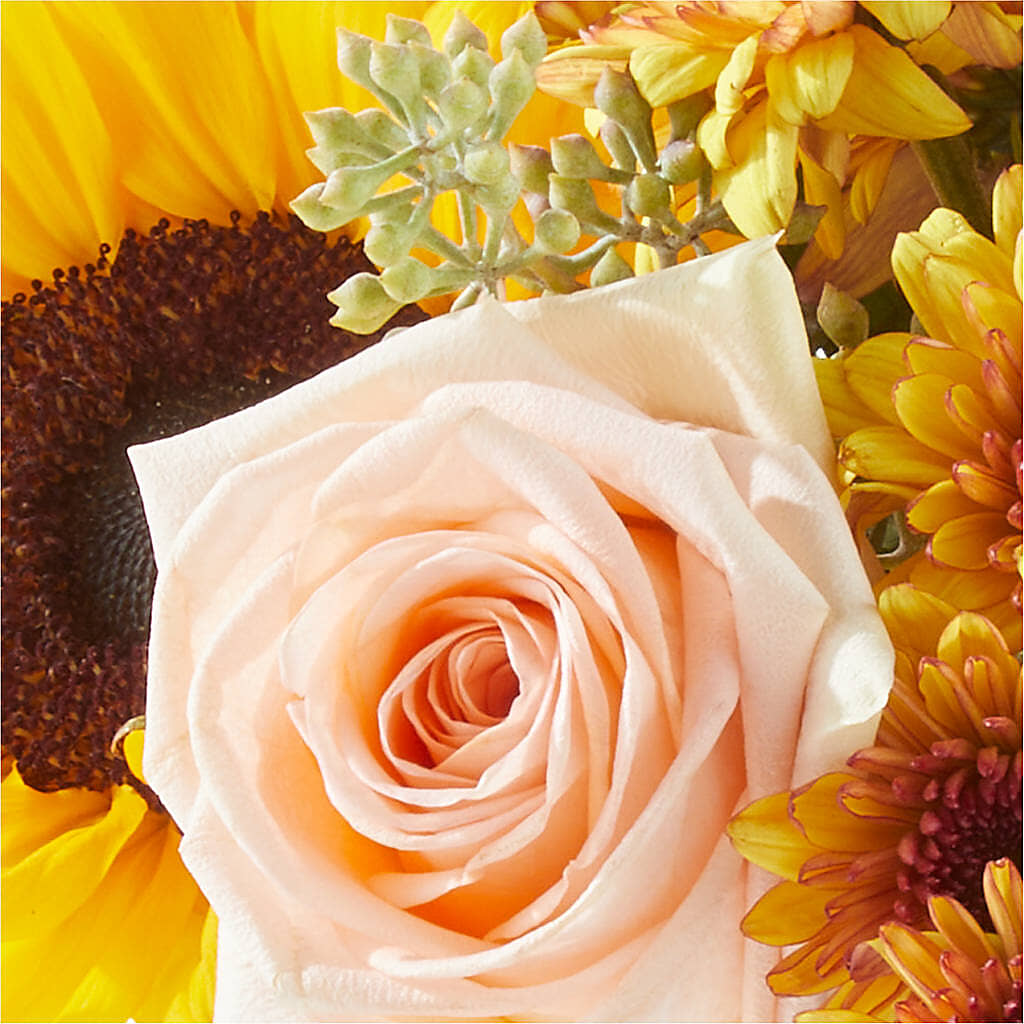 Pumpkin to Talk About Bouquet –  Hurst Florist, Callahan FL