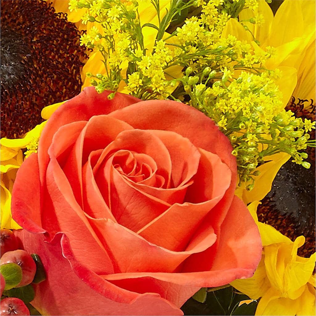 Pick of the Patch Pumpkin Bouquet –  Hurst Florist, Callahan FL