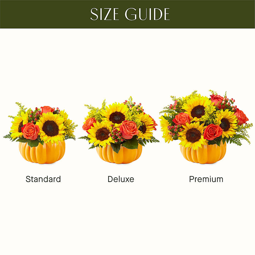 Pick of the Patch Pumpkin Bouquet –  Hurst Florist, Callahan FL