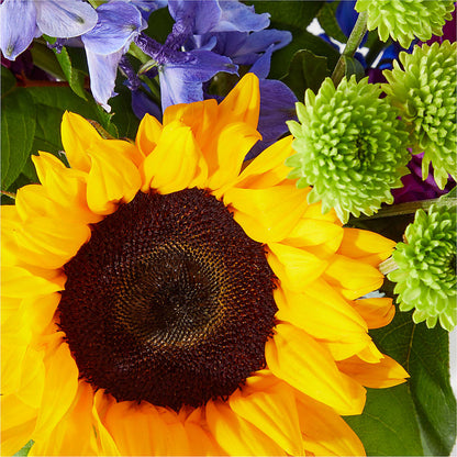 Catching Rays Bouquet –  Hurst Florist, Callahan FL