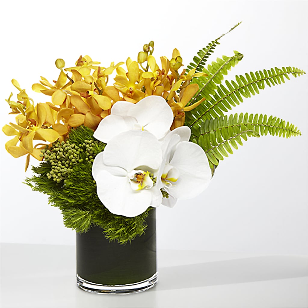 The Tropics –  Hurst Florist, Callahan FL