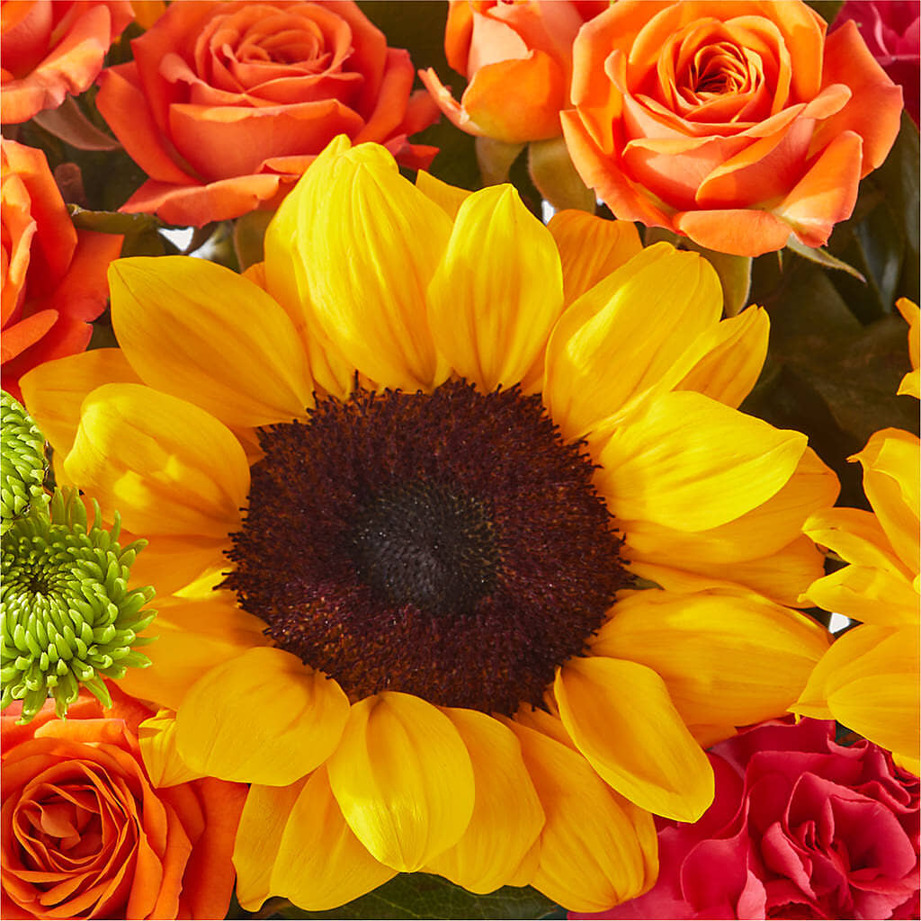Sun-drenched Blooms Box Bouquet –  Hurst Florist, Callahan FL