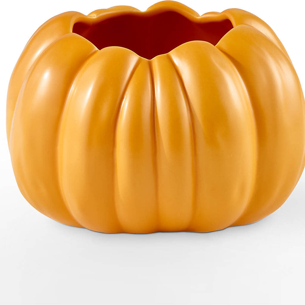 Pick of the Patch Pumpkin Bouquet –  Hurst Florist, Callahan FL
