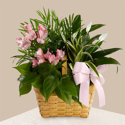 Living Spirit Dishgarden –  Hurst Florist, Callahan FL