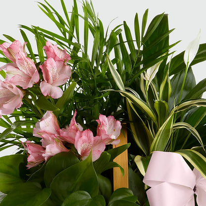 Living Spirit Dishgarden –  Hurst Florist, Callahan FL