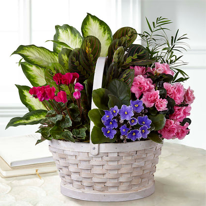 Peaceful Garden Planter –  Hurst Florist, Callahan FL