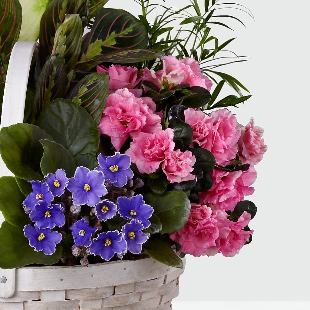 Peaceful Garden Planter –  Hurst Florist, Callahan FL