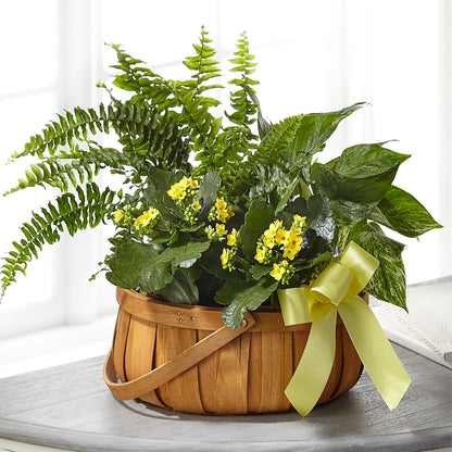 Always Dear Dishgarden –  Hurst Florist, Callahan FL