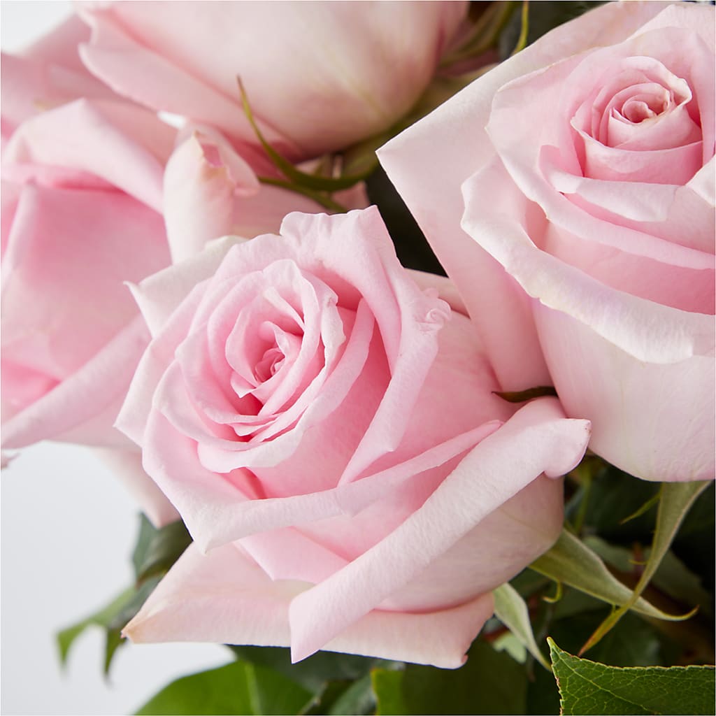 Picture Perfect Pink Rose Bouquet –  Hurst Florist, Callahan FL