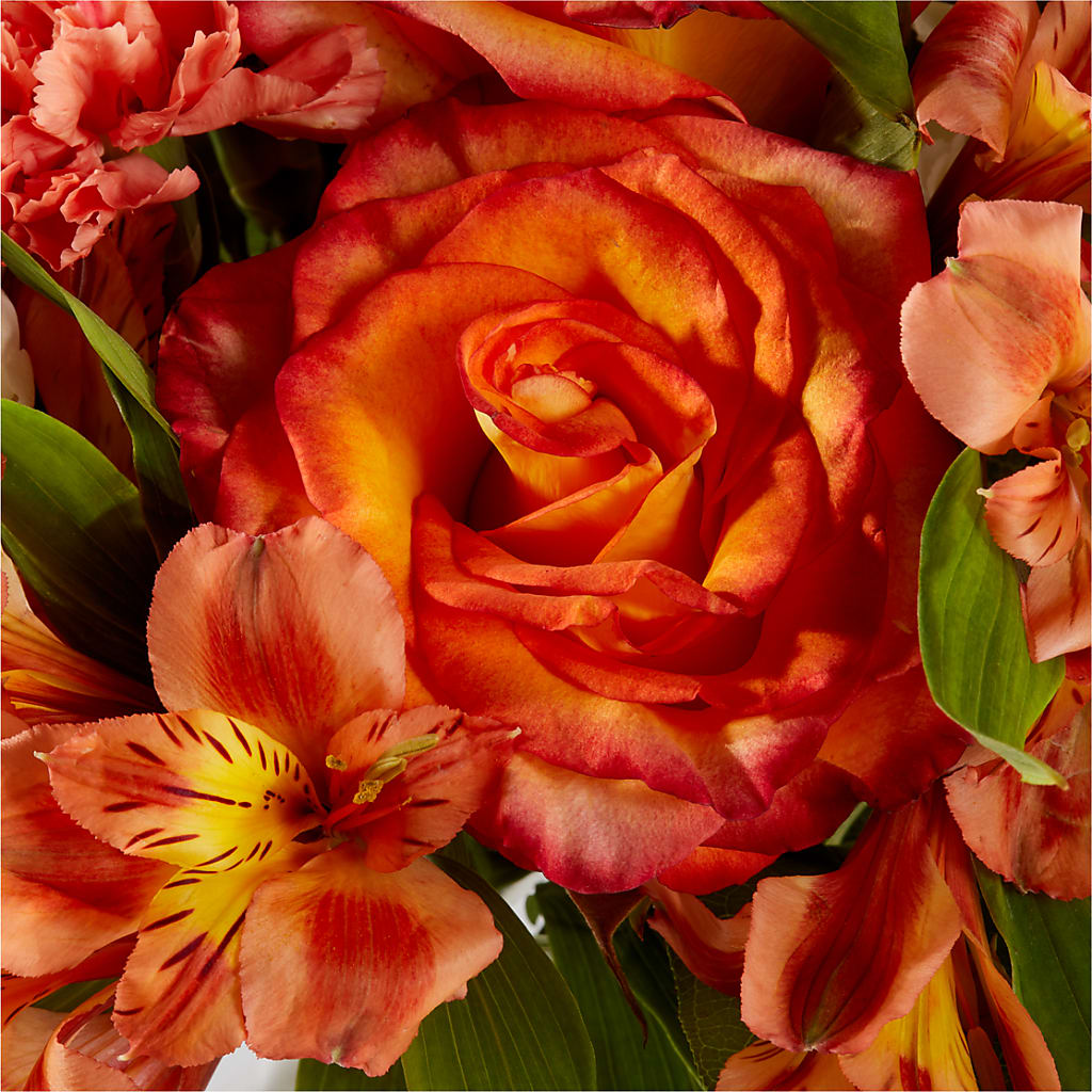 Apricot Glow Bouquet –  Hurst Florist, Callahan FL