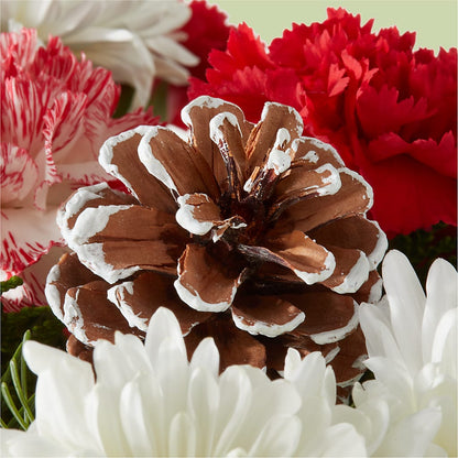 Candy Cane Lane Bouquet –  Hurst Florist, Callahan FL