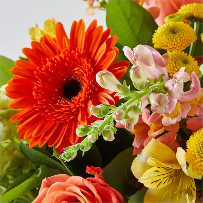 Autumn Sunshine Bouquet –  Hurst Florist, Callahan FL