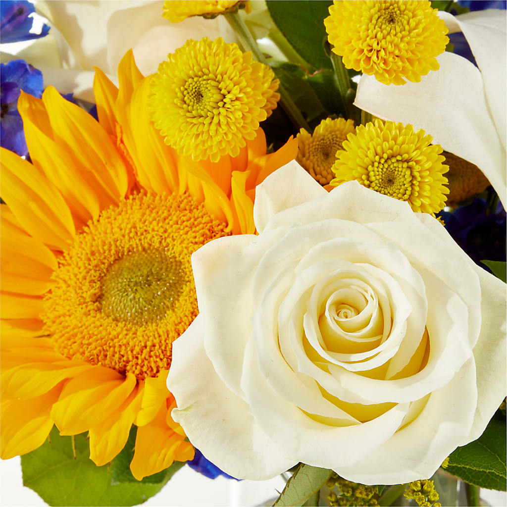 Stargazing Bouquet –  Hurst Florist, Callahan FL