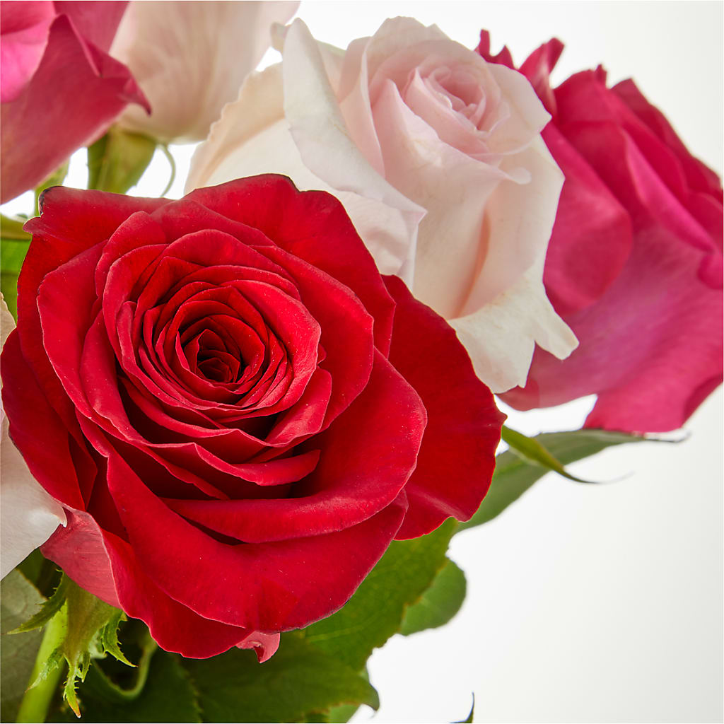 Charming Rose Bouquet –  Hurst Florist, Callahan FL