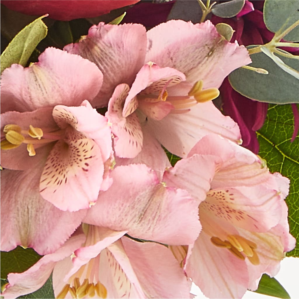Berry Cobbler Bouquet –  Hurst Florist, Callahan FL