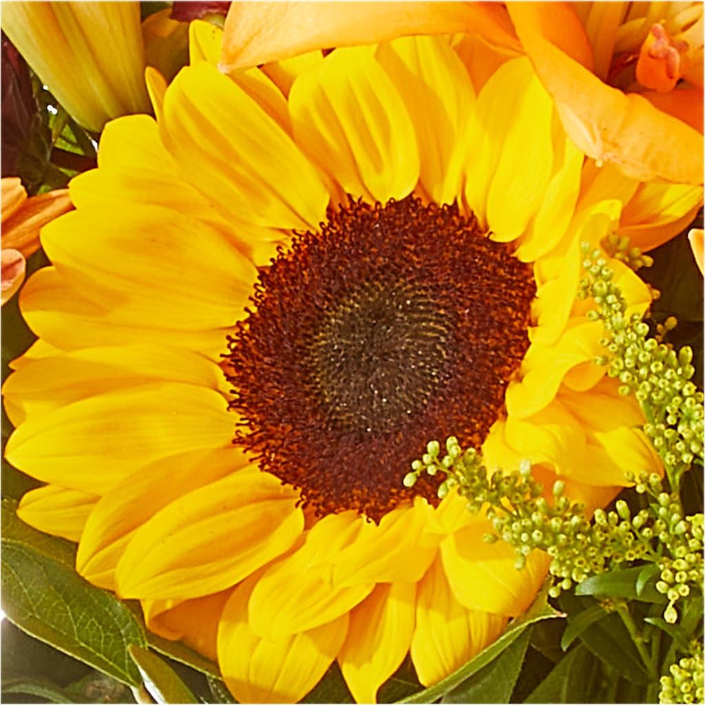 Seasons Change Bouquet –  Hurst Florist, Callahan FL