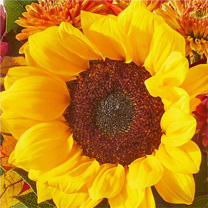 Sunny Side Bouquet –  Hurst Florist, Callahan FL