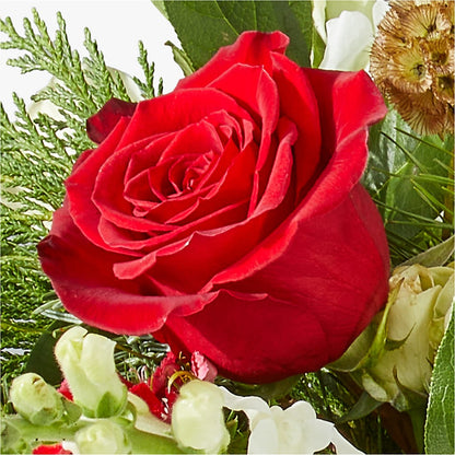 Deck the Halls Bouquet –  Hurst Florist, Callahan FL