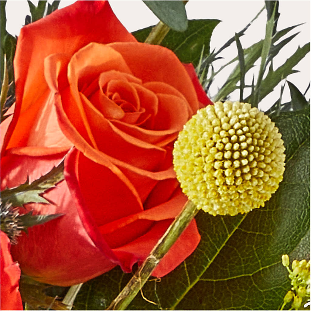 Disco Bouquet –  Hurst Florist, Callahan FL