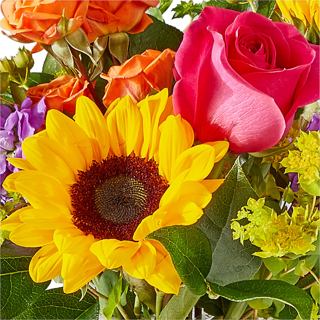 Vibrant Greetings Bouquet –  Hurst Florist, Callahan FL