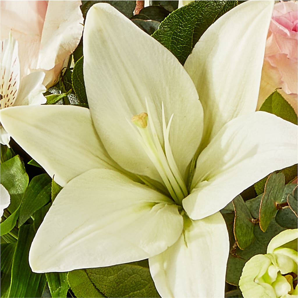 Ballet Slippers Bouquet –  Hurst Florist, Callahan FL
