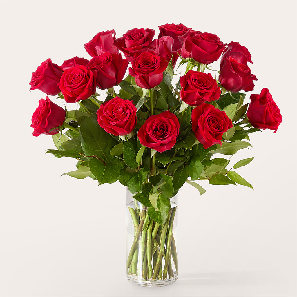 The One Red Rose Bouquet –  Hurst Florist, Callahan FL